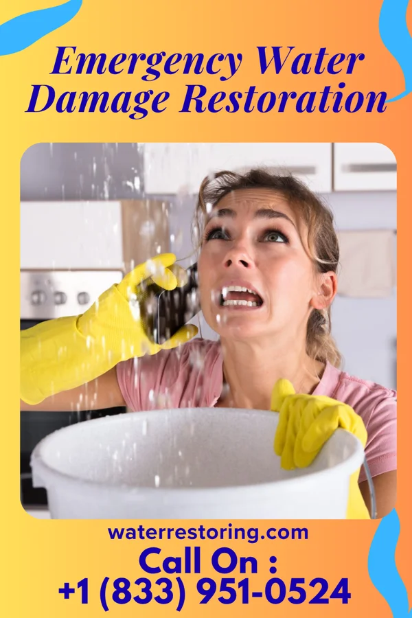 Emergency Water Damage Restoration in Kenedy, TX