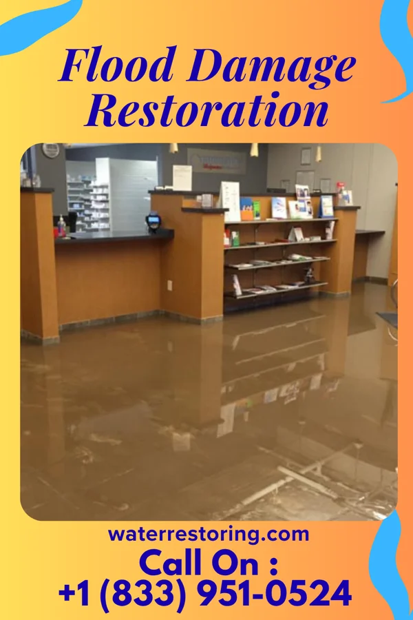 Flood Damage Restoration in Kenedy, TX