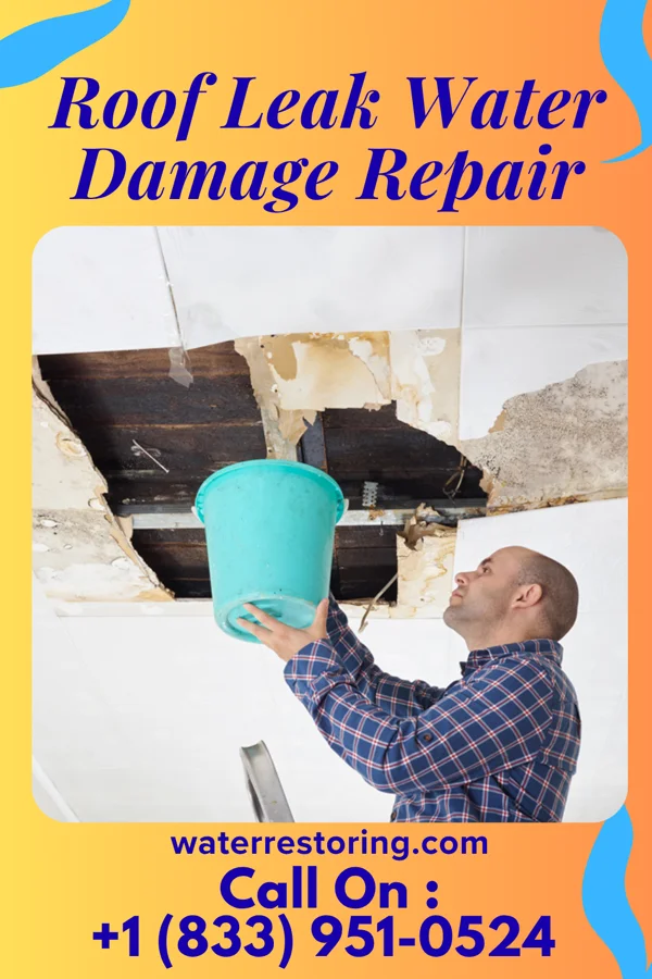 Roof Leak Water Damage Repair in Kenedy, TX